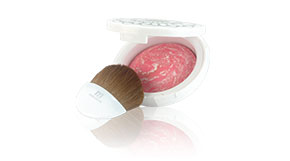 ���������ˇ�g(sh��)�ʷ����t