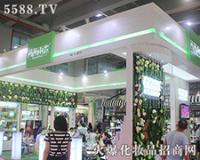 ������¶�y�֏V�������� ����(chu��ng)�������E