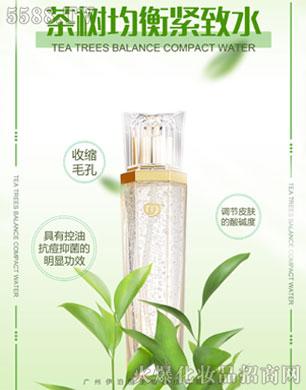 �V������������Ƽ����޹�˾���C��ѩ�w���(sh��)����o��ˮ