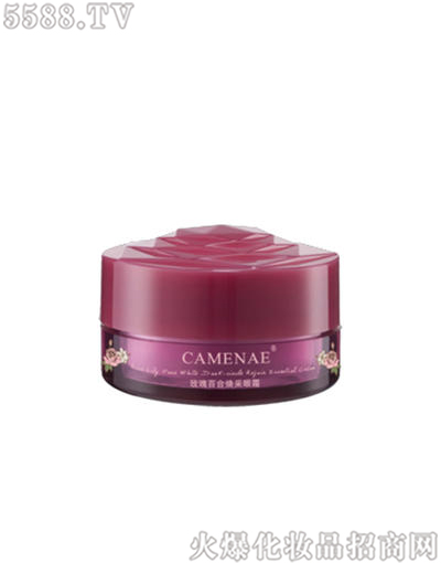 ���Ę����yƷ���޹�˾�����Ę�õ�埨����˪