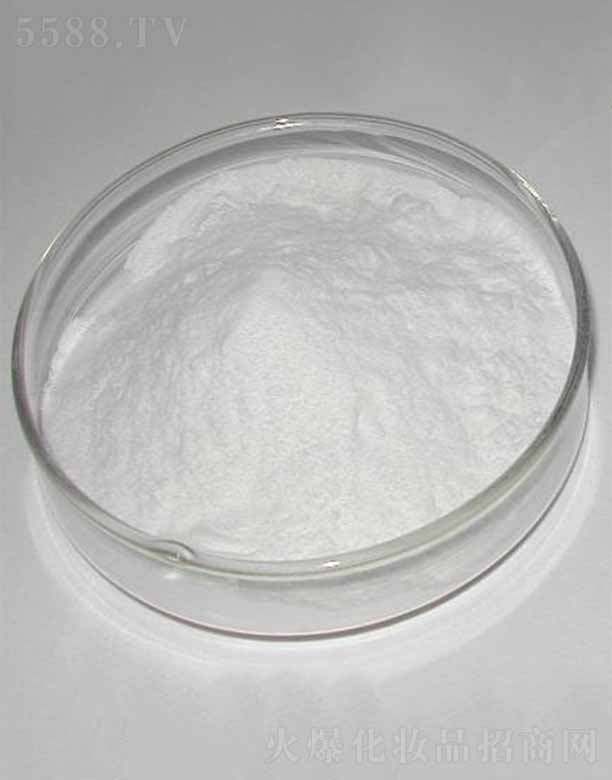 �ɶ������������޹�˾������-9/������/������