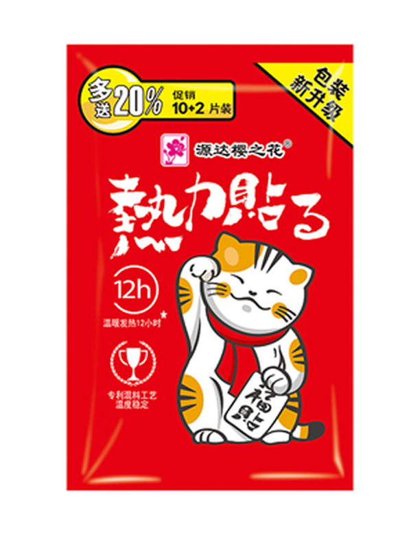 ���Դ�_(d��)�ջ��ɷ����޹�˾����֮���Nʽ�����N 10+2Ƭ�b