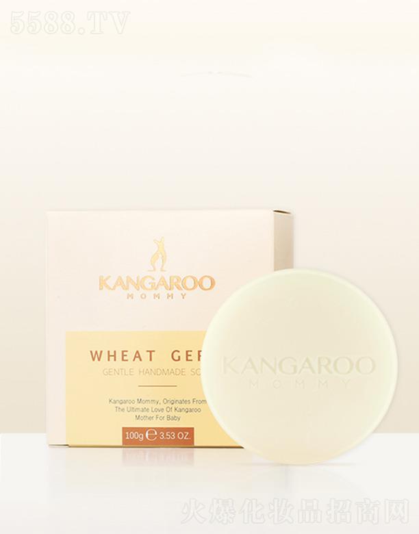 �V�ݐ������Ƽ����޹�˾�����󋌋�С����ѿ�坙���w�� 100g�ӌ�ጷ�����ˮ���x�輡�wˮ������