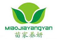 ����B(y��ng)�� �ꡤ����������