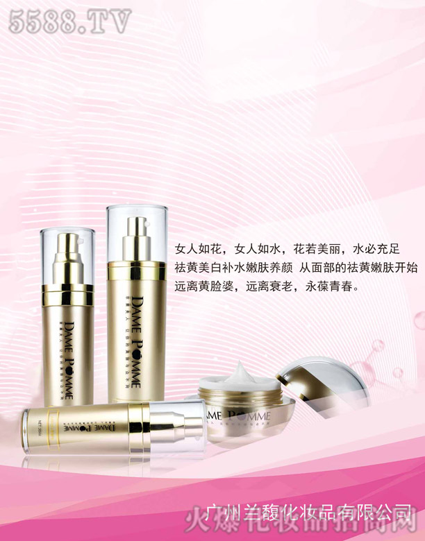 �׽�֮���������w��(j��ng)��M��