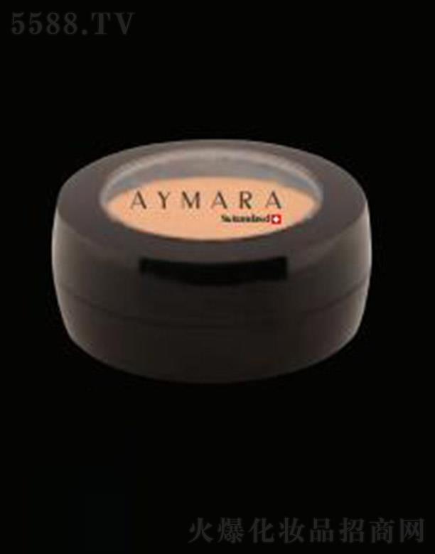 AYMARA�۲������׊y