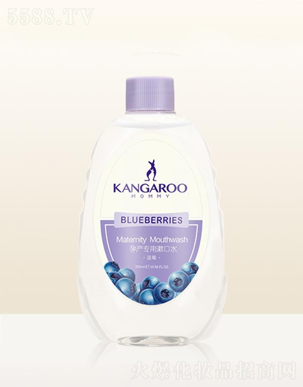 ���󋌋��Юa(ch��n)��������ˮ���{(l��n)ݮ��300ml�h(yu��n)�x���N���܆�(w��n)�}