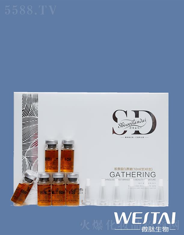 Ԋ�S�{(l��n)���zԭ����ԭҺ 10ml/֧X6֧�Ӿ�Ƥ�w�ϻ�