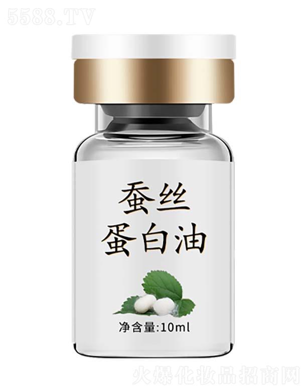 �Q�z���װ�Ħ��