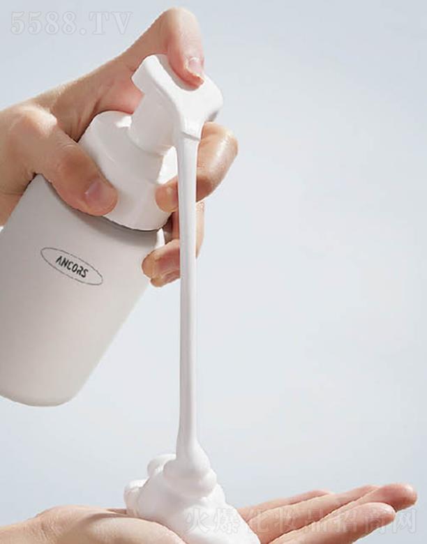 ANCORS�杙(r��n)���w����Ľ˹