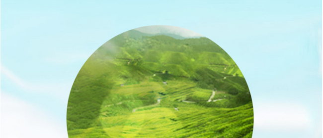 �����_���ɾ���