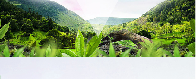 �����_���ɾ���