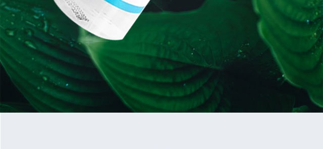 ������ζ���F