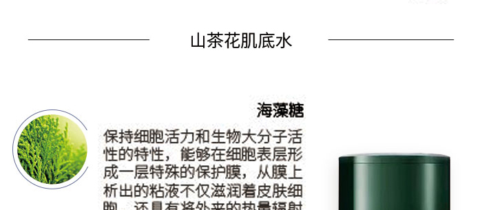 ɽ�軨ֲ�ͱ�����