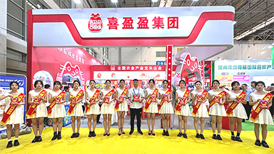 ���ƏV���ݴ�������